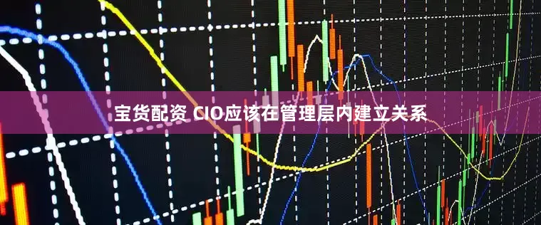 宝货配资 CIO应该在管理层内建立关系